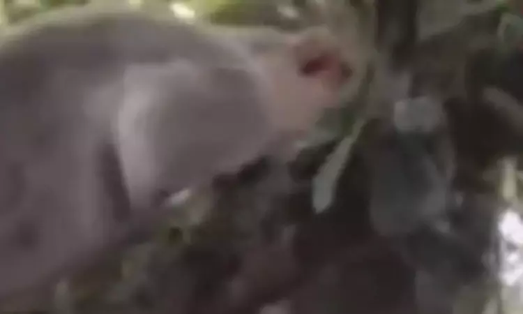 கொடைக்கானல்: குணா குகைக்கு சுற்றுலா வந்த... ... இன்றைய முக்கிய செய்திகள்.. சில வரிகளில்.. 15-06-2025 கொடைக்கானல்: குணா குகைக்கு சுற்றுலா வந்த... ... இன்றைய முக்கிய செய்திகள்.. சில வரிகளில்.. 15-06-2025