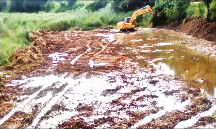 திருமலைராஜன் ஆற்றில் தூர்வாரும் பணிகள் - விவசாயிகள் மகிழ்ச்சி திருமலைராஜன் ஆற்றில் தூர்வாரும் பணிகள் - விவசாயிகள் மகிழ்ச்சி