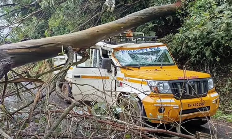 பிக்கப் வாகனத்தின் மீது விழுந்த ராட்சத... ... இன்றைய முக்கிய செய்திகள்.. சில வரிகளில்.. 16-06-2025