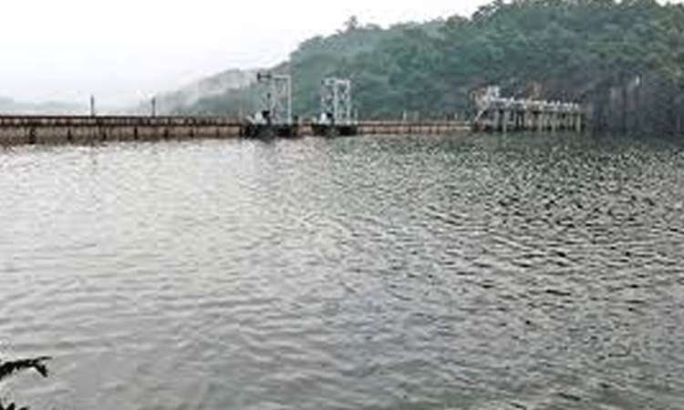 தொடர் மழை.. பாபநாசம் அணை நீர்மட்டம் ஒரே நாளில் 5 அடி உயர்வு