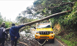 அவலாஞ்சியில் 21 செ.மீ மழை பதிவு