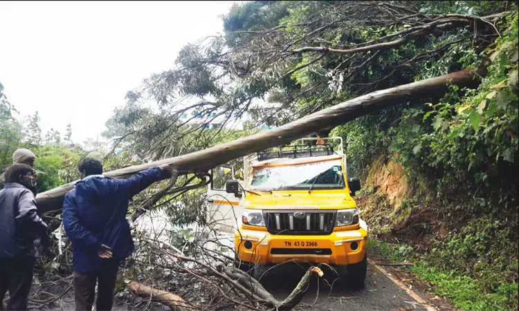 அவலாஞ்சியில் 21 செ.மீ மழை பதிவு அவலாஞ்சியில் 21 செ.மீ மழை பதிவு