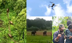 டிரோன் உதவியுடன் காட்டுயானைகளை விரட்டிய வனத்துறை