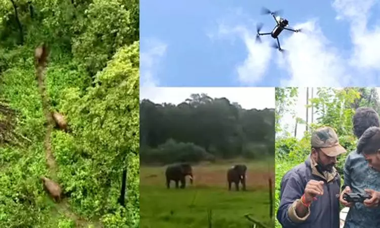 டிரோன் உதவியுடன் காட்டுயானைகளை விரட்டிய வனத்துறை டிரோன் உதவியுடன் காட்டுயானைகளை விரட்டிய வனத்துறை
