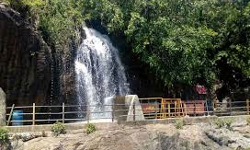 அகஸ்தியர் அருவியில் உள்ளூர் மக்கள் கட்டணமின்றி குளிக்க அனுமதி