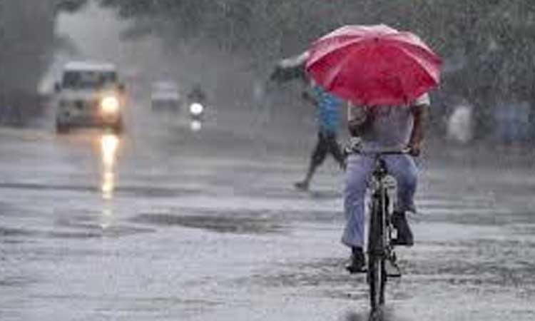 அடுத்த 3 மணி நேரத்தில் மழைக்கு வாய்ப்புள்ள மாவட்டங்கள் எவை  ?