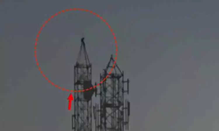 செல்போன் டவர் உச்சியில் ஏறி இளைஞர் போராட்டம் - காரணம் கேட்ட போலீசார் அதிர்ச்சி செல்போன் டவர் உச்சியில் ஏறி இளைஞர் போராட்டம் - காரணம் கேட்ட போலீசார் அதிர்ச்சி