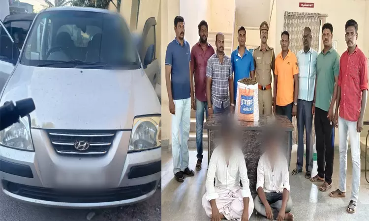 தூத்துக்குடியில் 11.5 கிலோ கஞ்சா, கார் பறிமுதல்: 3 பேர் கைது