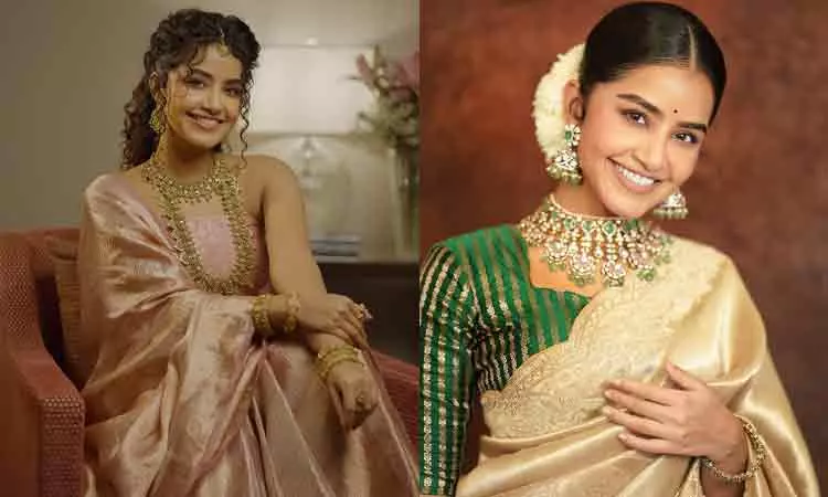 விமர்சனத்தால் நோகடித்தாலும் மலையாள சினிமா எனக்கு பிடித்திருக்கிறது - அனுபமா பரமேஸ்வரன்