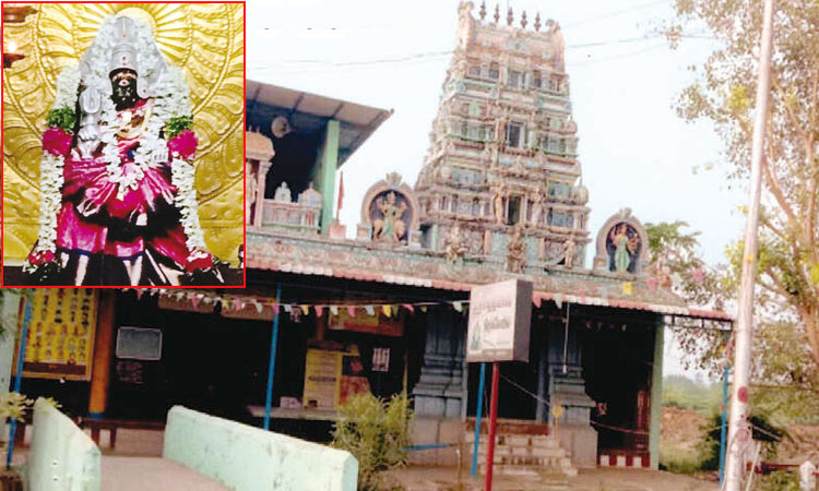 பச்சூர் சித்தி காளியம்மன் கோவில்