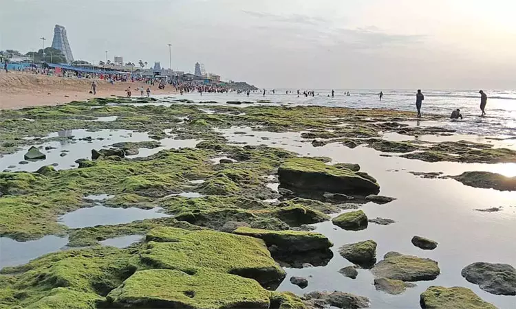 திருச்செந்தூர் கடல் 100 அடிதூரம் உள்வாங்கியது