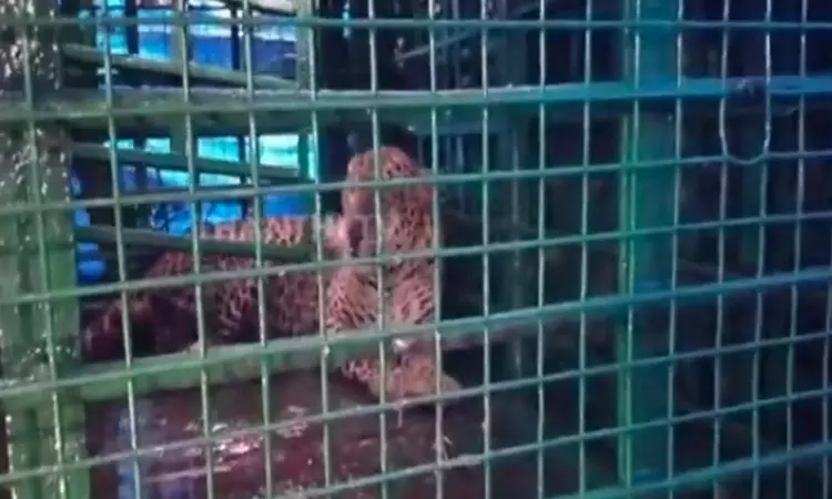 வால்பாறையில் 4 வயது சிறுமியை கொன்ற சிறுத்தை,... ... இன்றைய முக்கிய செய்திகள் சில வரிகளில்.. 26-06-2025