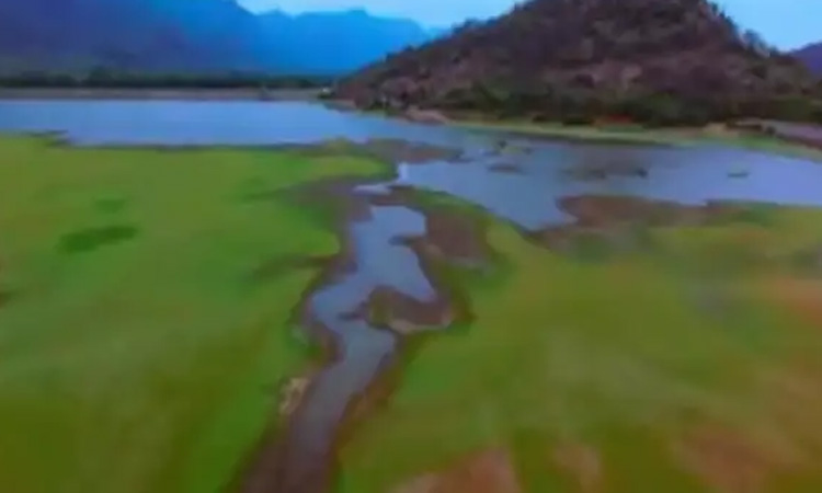 இணையதளத்தில் திடீரென டிரெண்ட் ஆன கூமாபட்டி கிராமம்: கூகுளில் வழிதேடும் இளைஞர்கள்