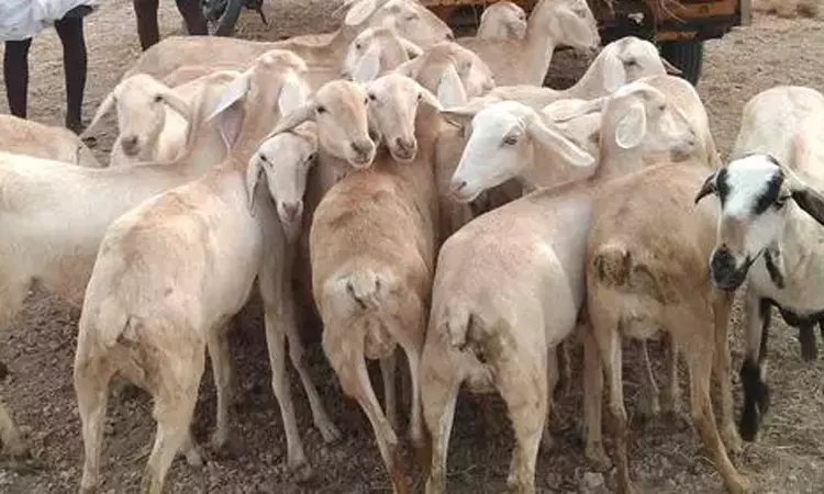 தமிழ்நாடு முழுவதும் இனி ஒரே விலையில் ஆட்டிறைச்சி... ... இன்றைய முக்கிய செய்திகள் சில வரிகளில்.. 26-06-2025