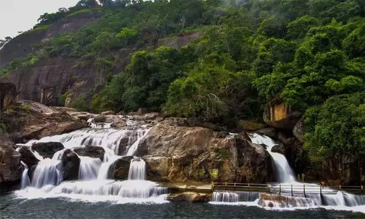 மணிமுத்தாறு அருவியில் குளிக்க அனுமதி மணிமுத்தாறு அருவியில் குளிக்க அனுமதி