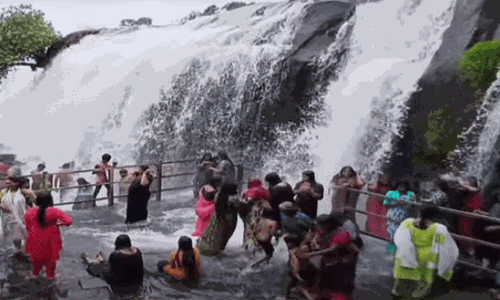 திற்பரப்பு அருவியில் ஆர்ப்பரித்துக் கொட்டும் தண்ணீர்.. சுற்றுலா பயணிகள் மகிழ்ச்சி திற்பரப்பு அருவியில் ஆர்ப்பரித்துக் கொட்டும் தண்ணீர்.. சுற்றுலா பயணிகள் மகிழ்ச்சி