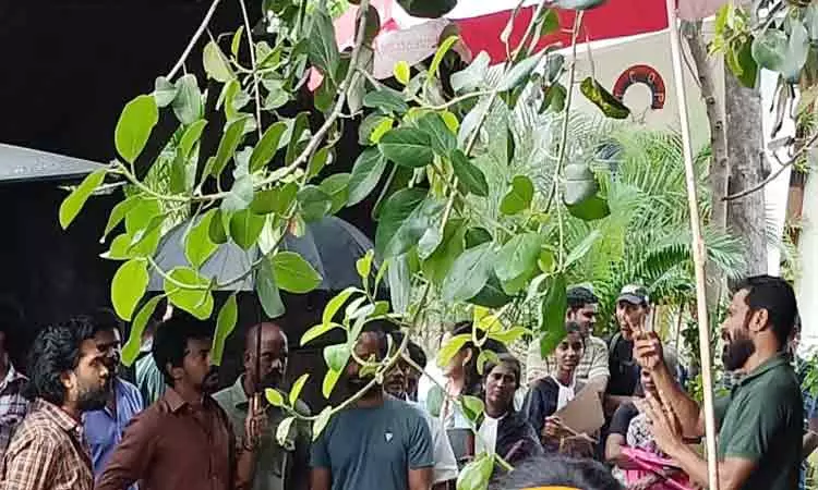 வெற்றிமாறன்-சிம்பு கூட்டணி: அறிவிப்பு வீடியோ எப்போது?