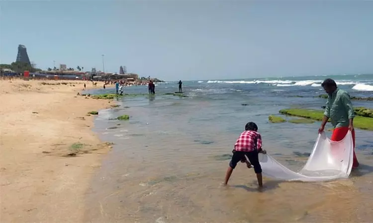 திருச்செந்தூரில்  கடல் 50 அடி தூரம் உள்வாங்கியது