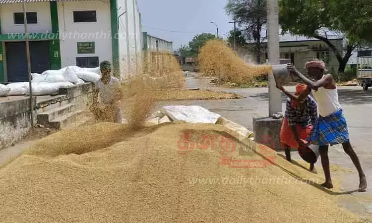 விவசாயிகளுக்கு வழங்கப்படாமல் இருந்த நெல் கொள்முதலுக்கான ரூ.810 கோடி விடுவிப்பு விவசாயிகளுக்கு வழங்கப்படாமல் இருந்த நெல் கொள்முதலுக்கான ரூ.810 கோடி விடுவிப்பு