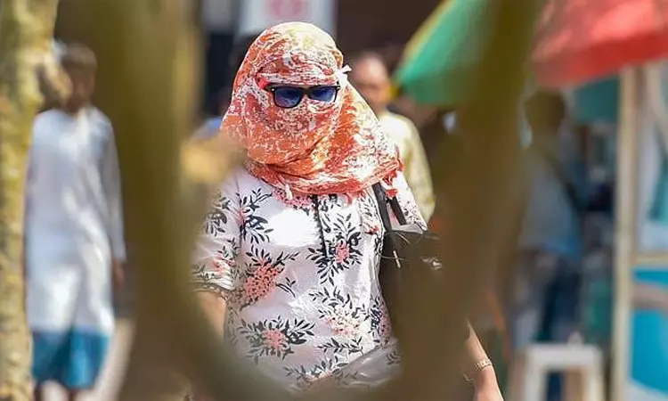 சென்னை, மதுரை உள்ளிட்ட 10 இடங்களில் வெயில் சதம் சென்னை, மதுரை உள்ளிட்ட 10 இடங்களில் வெயில் சதம்