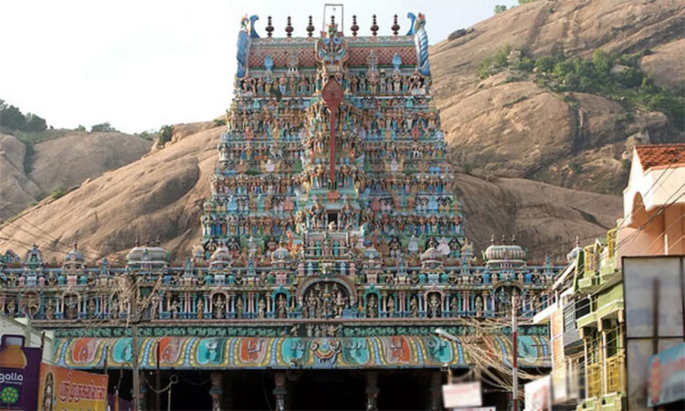 திருப்பரங்குன்றம் கும்பாபிஷேக விழா: 4 லட்சம் பேருக்கு அன்னதானம் வழங்க ஏற்பாடு