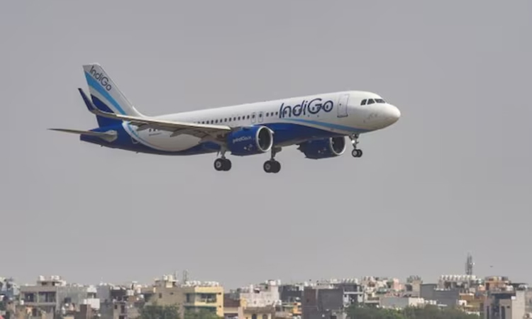டெல்லி புறப்பட்ட இண்டிகோ விமானம் மீது பறவை மோதியது