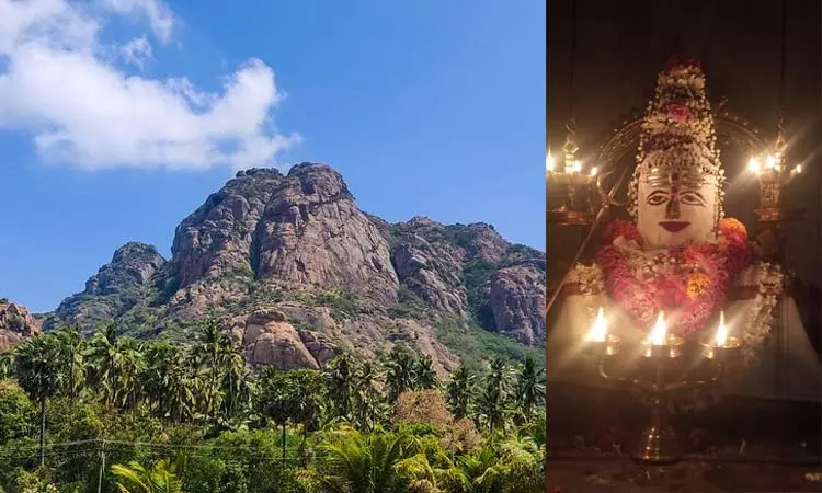 கன்னியாகுமரி: மருந்துவாழ் மலை ஜோதிலிங்கேஸ்வரருக்கு சிறப்பு அபிஷேகம்