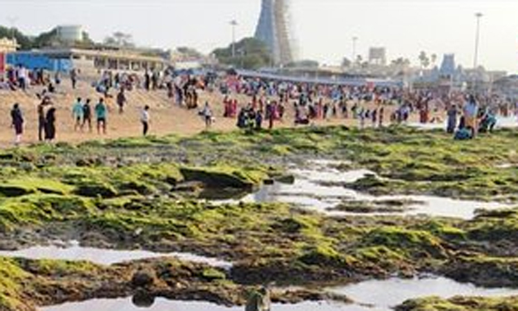 மகா கும்பாபிஷேகம் நிறைவடைந்த நிலையில் திருச்செந்தூர் கடலில் ஏற்பட்ட மாற்றம்