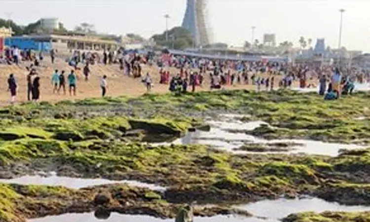 மகா கும்பாபிஷேகம் நிறைவடைந்த நிலையில் திருச்செந்தூர் கடலில் ஏற்பட்ட மாற்றம்