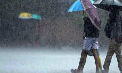 நீலகிரி, கோவையில் கனமழைக்கு வாய்ப்பு