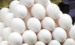 முட்டை விலை சரிவு