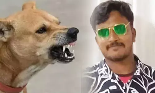 நாய்க்கடிக்கு சிகிச்சை எடுக்க தவறிய வாலிபர் உயிரிழந்த பரிதாபம் நாய்க்கடிக்கு சிகிச்சை எடுக்க தவறிய வாலிபர் உயிரிழந்த பரிதாபம்