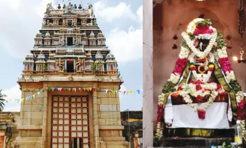 பிருங்கி முனிவர் வண்டு உருவில் வழிபட்ட வண்டுறைநாதர் பிருங்கி முனிவர் வண்டு உருவில் வழிபட்ட வண்டுறைநாதர்