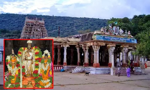 கள்ளழகர் கோவிலில் 24-ந்தேதி ஆடி அமாவாசை விழா