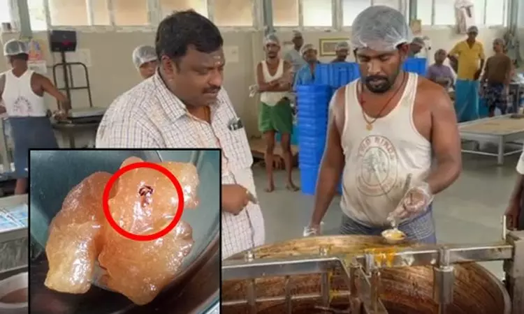 நெல்லை சாந்தி அல்வாவில் தேள்  - அதிகாரிகள் ஆய்வு