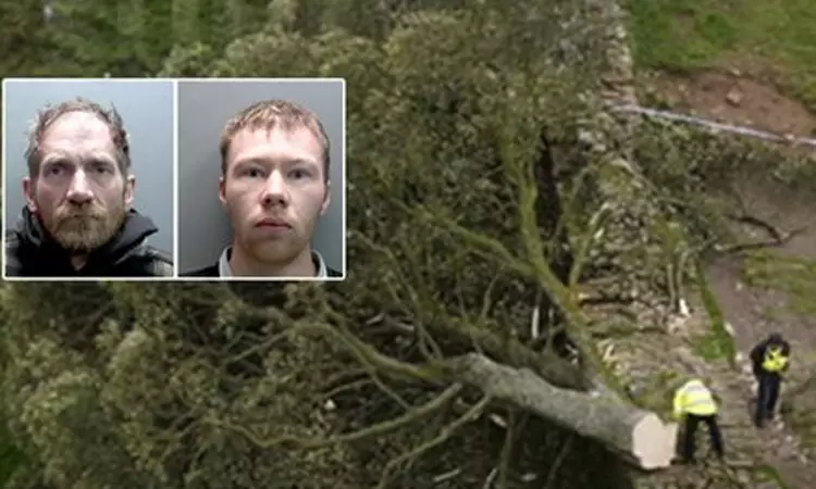 மரத்தை வெட்டிய  2 பேருக்கு 4 ஆண்டுகள் சிறை தண்டனை