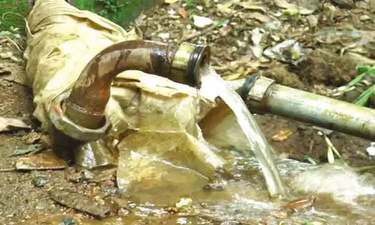 நீலகிரி: குடிநீர் குழாய்களை உடைத்த காட்டு யானைகள் அட்டகாசம்