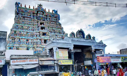 நெல்லையப்பர் கோவிலில் ஆடிப்பூர திருவிழா: நாளை கொடியேற்றத்துடன் தொடங்குகிறது நெல்லையப்பர் கோவிலில் ஆடிப்பூர திருவிழா: நாளை கொடியேற்றத்துடன் தொடங்குகிறது
