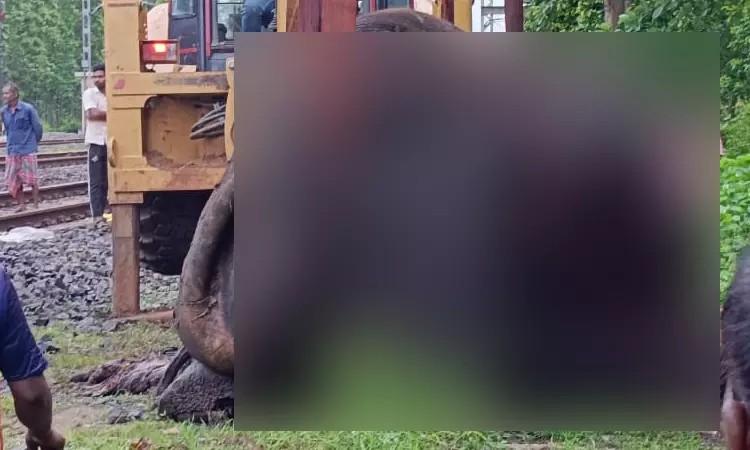 எக்ஸ்பிரஸ் ரெயில் மோதி 3 யானைகள் பலி