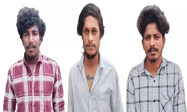 தூத்துக்குடியில் கஞ்சா வழக்கில் 3 பேர் குண்டர் சட்டத்தில் கைது