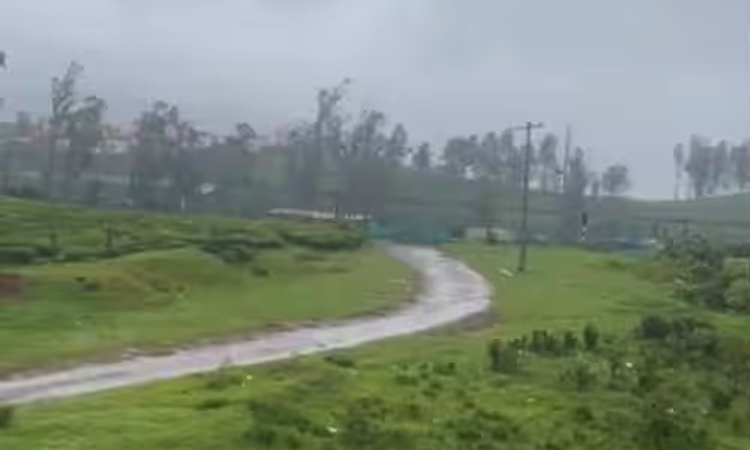 உதகை: 3 சூழல் சுற்றுலா மையங்கள் இன்று ஒருநாள் மூடப்படுவதாக அறிவிப்பு