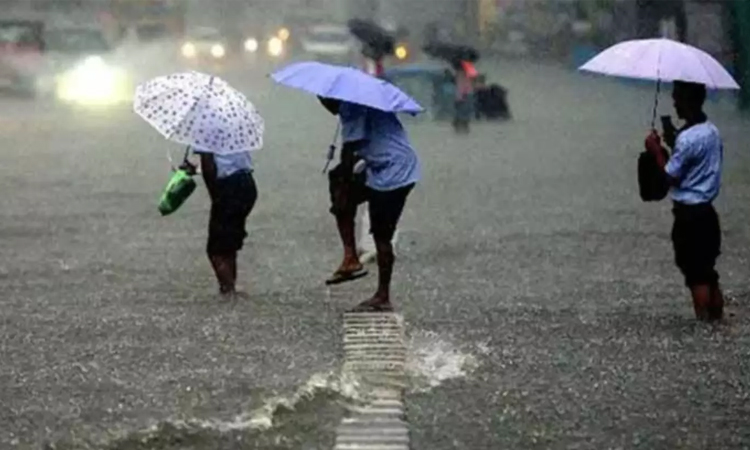 அடுத்த 3 மணி நேரத்தில்  16 மாவட்டங்களில் மழைக்கு வாய்ப்பு