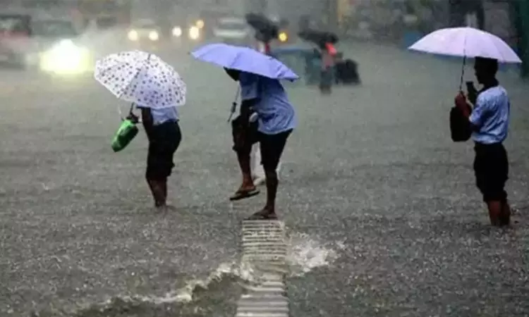 அடுத்த 3 மணி நேரத்தில் 16 மாவட்டங்களில் மழைக்கு வாய்ப்பு அடுத்த 3 மணி நேரத்தில் 16 மாவட்டங்களில் மழைக்கு வாய்ப்பு