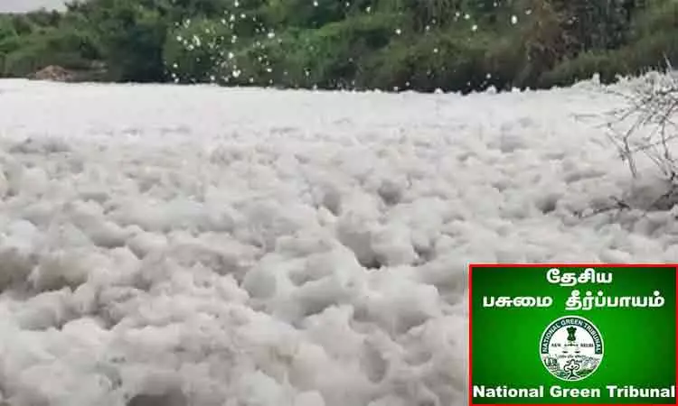 தென்பெண்ணை ஆற்றில் கழிவுநீர் - பசுமை தீர்ப்பாயம் உத்தரவு