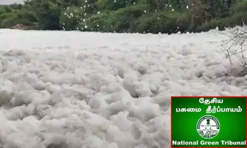 தென்பெண்ணை ஆற்றில் கழிவுநீர் - பசுமை தீர்ப்பாயம் உத்தரவு தென்பெண்ணை ஆற்றில் கழிவுநீர் - பசுமை தீர்ப்பாயம் உத்தரவு