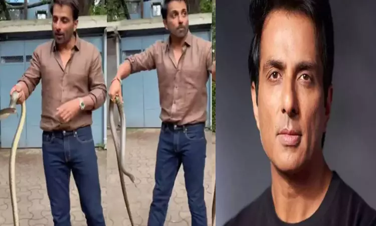 வீட்டு வளாகத்திற்குள் நுழைந்த பாம்பை வெறும் கையால் பிடித்த நடிகர் சோனு சூட்