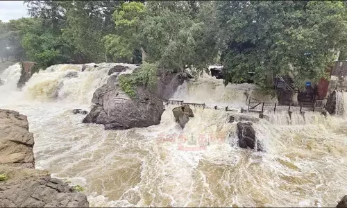 ஒகேனக்கலுக்கு நீர்வரத்து அதிகரிப்பு: அருவியில் குளிக்கவும், பரிசல் இயக்கவும் தடை ஒகேனக்கலுக்கு நீர்வரத்து அதிகரிப்பு: அருவியில் குளிக்கவும், பரிசல் இயக்கவும் தடை