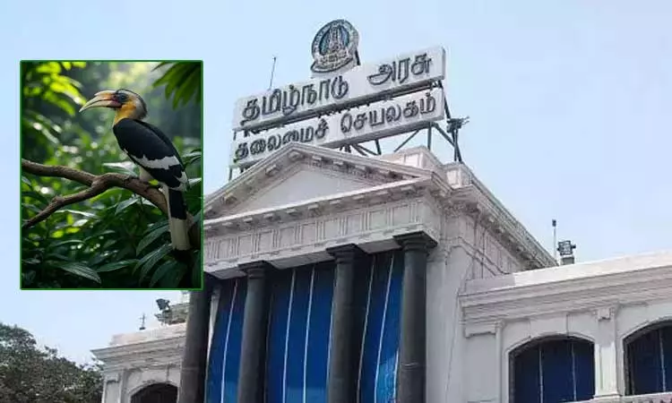 ஆனைமலையில் இந்தியாவின் முதல் இருவாச்சி பறவைகள் பாதுகாப்பு சிறப்பு மையம் - தமிழக அரசு அனுமதி