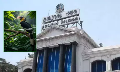 ஆனைமலையில் இந்தியாவின் முதல் இருவாச்சி பறவைகள் பாதுகாப்பு சிறப்பு மையம் - தமிழக அரசு அனுமதி ஆனைமலையில் இந்தியாவின் முதல் இருவாச்சி பறவைகள் பாதுகாப்பு சிறப்பு மையம் - தமிழக அரசு அனுமதி