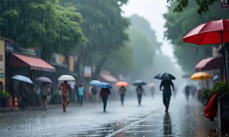 பகல் 1 மணி வரை எந்தெந்த மாவட்டங்களில் மழைக்கு வாய்ப்பு..? பகல் 1 மணி வரை எந்தெந்த மாவட்டங்களில் மழைக்கு வாய்ப்பு..?